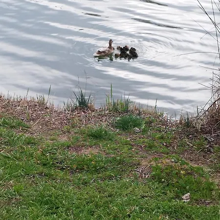 Apartment Magnificas Vistas *